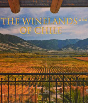 The winelands & soul of Chile