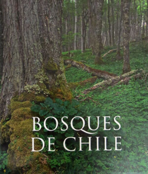 Bosques de Chile