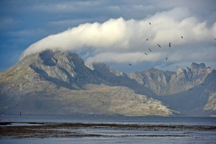 Cabo de Hornos invernal